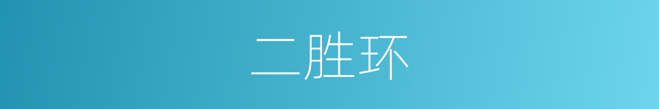 二胜环的同义词