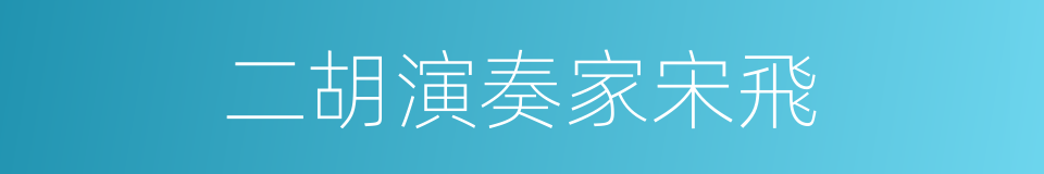 二胡演奏家宋飛的同義詞