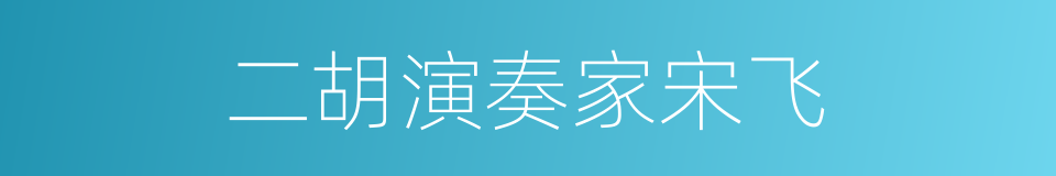 二胡演奏家宋飞的同义词