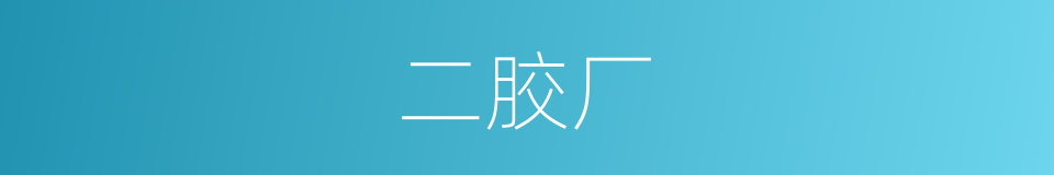 二胶厂的同义词