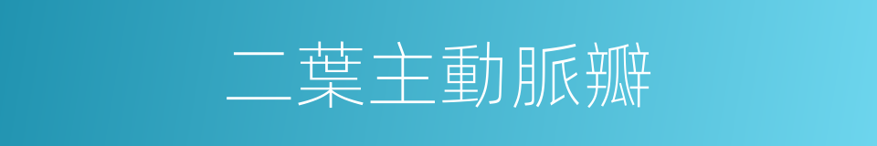 二葉主動脈瓣的同義詞