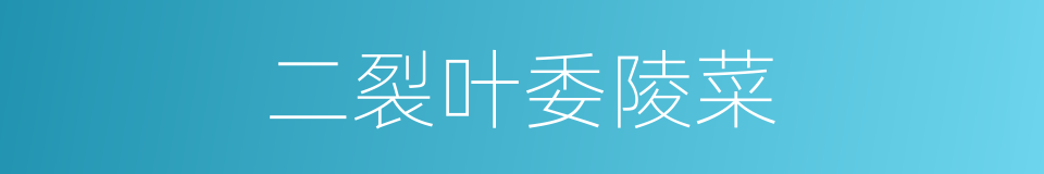 二裂叶委陵菜的同义词
