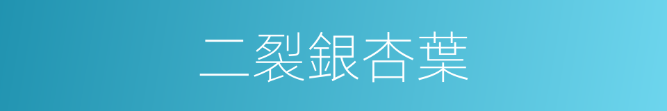 二裂銀杏葉的同義詞