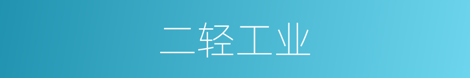 二轻工业的同义词