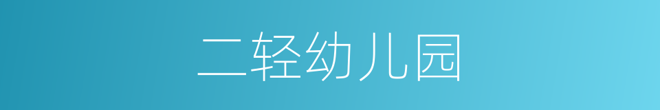 二轻幼儿园的同义词