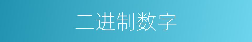 二进制数字的同义词