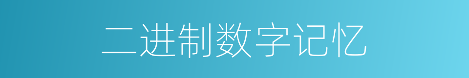 二进制数字记忆的同义词