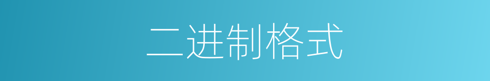 二进制格式的同义词