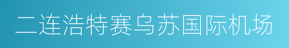 二连浩特赛乌苏国际机场的同义词