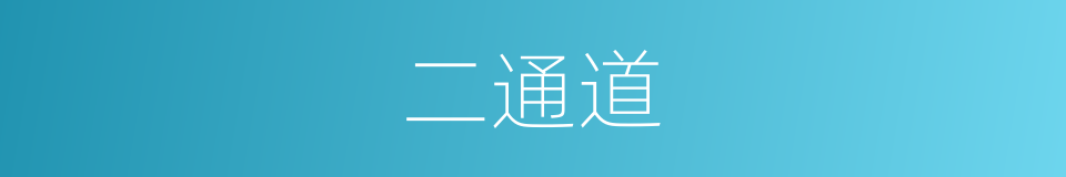 二通道的同义词