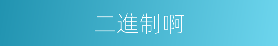 二進制啊的意思