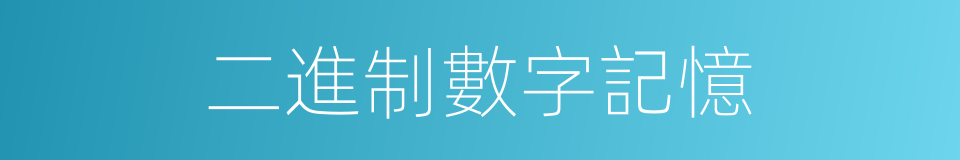 二進制數字記憶的同義詞