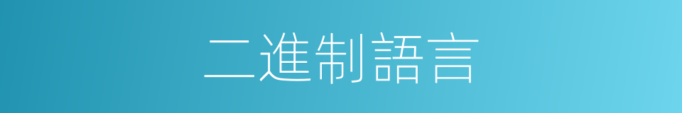 二進制語言的同義詞