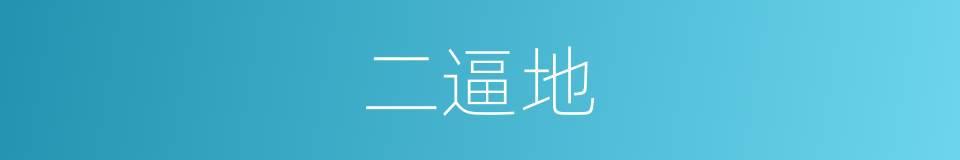 二逼地的同义词