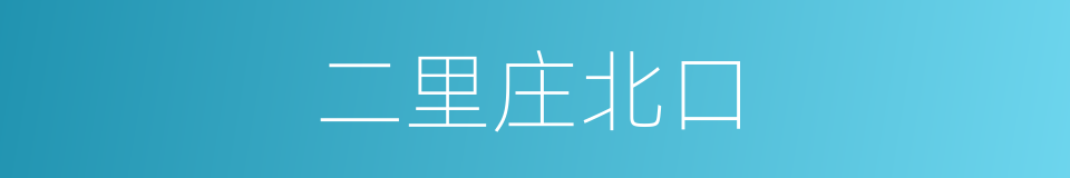 二里庄北口的同义词