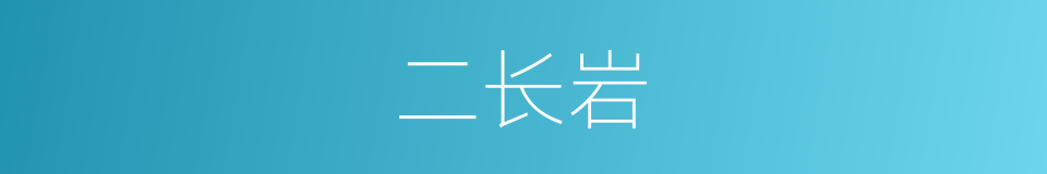 二长岩的同义词