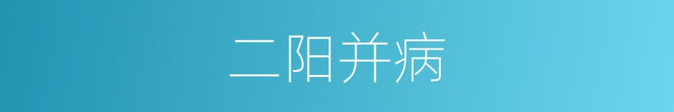 二阳并病的意思