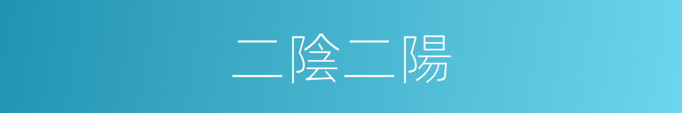 二陰二陽的意思