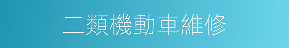 二類機動車維修的同義詞