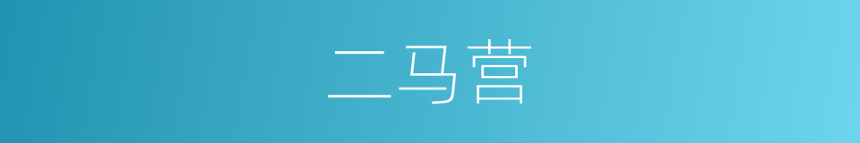 二马营的同义词