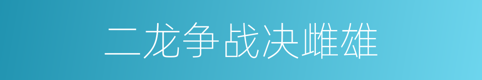 二龙争战决雌雄的同义词