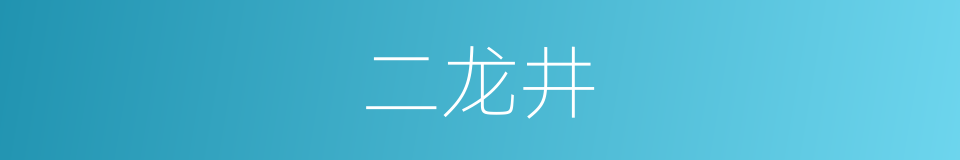 二龙井的意思