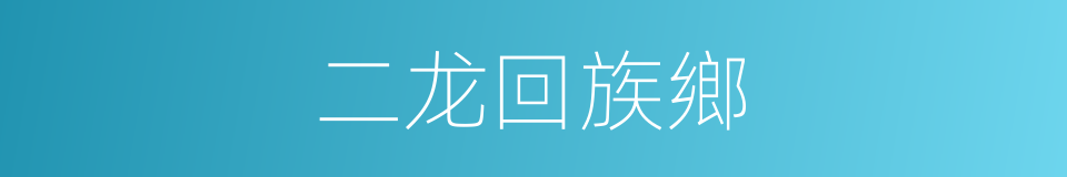 二龙回族鄉的同義詞