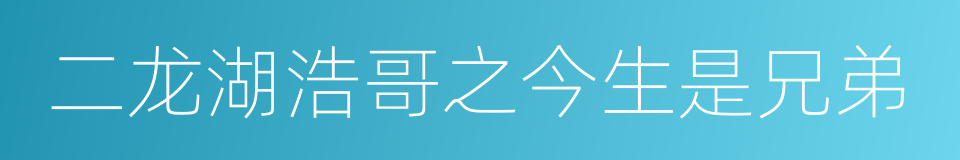 二龙湖浩哥之今生是兄弟的同义词