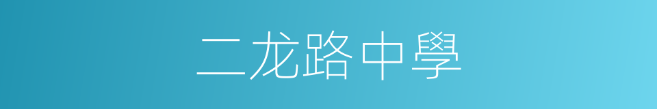 二龙路中學的同義詞
