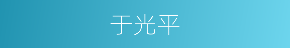 于光平的同义词