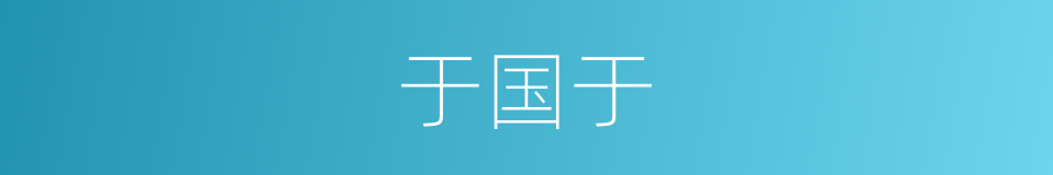 于国于的同义词
