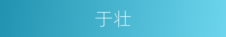 于壮的同义词