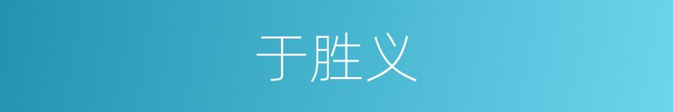 于胜义的同义词