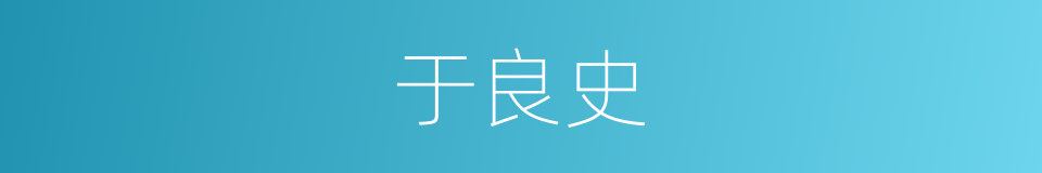 于良史的同义词
