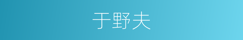 于野夫的同义词