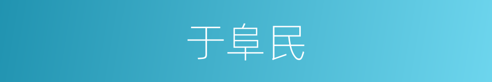 于阜民的同义词