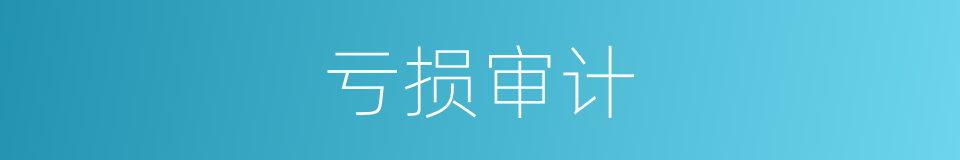 亏损审计的同义词