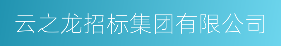 云之龙招标集团有限公司的同义词