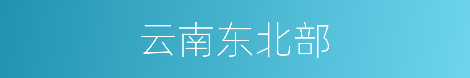 云南东北部的同义词
