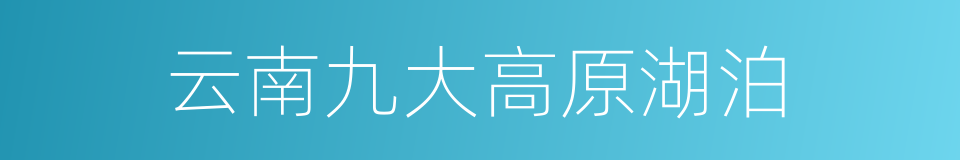 云南九大高原湖泊的同义词