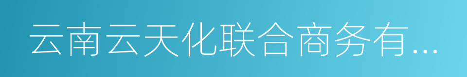 云南云天化联合商务有限公司的同义词