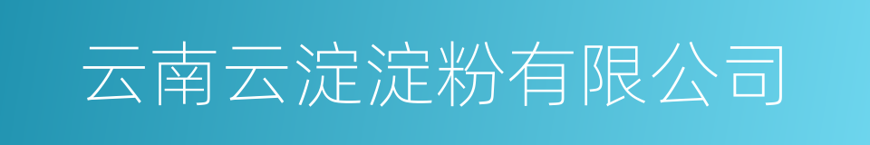云南云淀淀粉有限公司的同义词