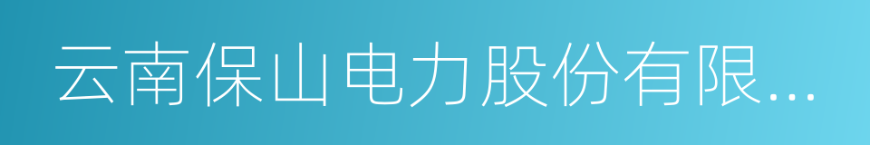 云南保山电力股份有限公司的同义词