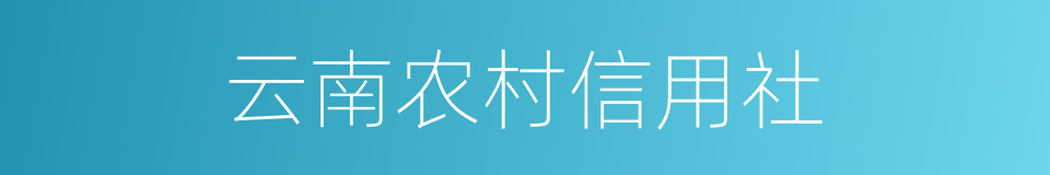 云南农村信用社的同义词