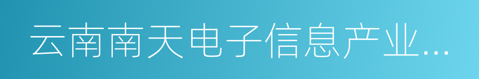 云南南天电子信息产业股份有限公司的同义词