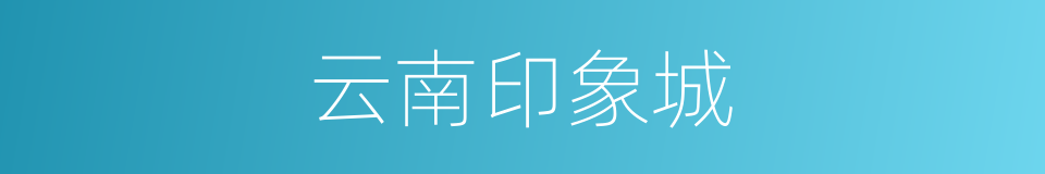 云南印象城的同义词