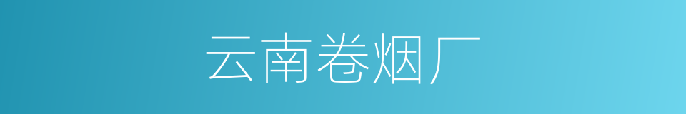 云南卷烟厂的同义词