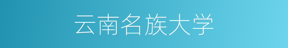 云南名族大学的同义词