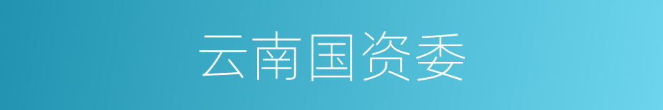 云南国资委的同义词