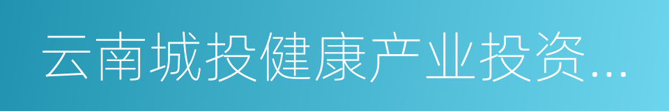 云南城投健康产业投资有限公司的同义词